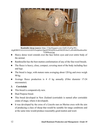 12 Small Ruminant Production and Management : Grade 10
Rambullet sheep (source- https://2.bp.blogspot.com/-Ea02-Zve65g/WL-
xkgKMb3I/AAAAAAAAD18/Sclpk8oUQg44lT0E4j9SL6xa85fh2DYdwCLcB/s600/Rambouillet
%2BSheep.jpg
 Heavy dense wool extends over the face below eyes and over entire body of
the animal.
 Rambouillet has the best mutton conformation of any of the fine-wool breeds.
 The fleece is heavy, close, compact, covering most of the body including face
and legs.
 The breed is large, with mature rams averaging about 120 kg and ewes weigh
90 kg.
 Average fleece production is 4 -5 kg annually (Fibre diameter 17-24
micrometer).
3. Corriedale
 This breed is comparatively new.
 Dual Purpose breed.
 This breed developed in New Zealand (corriedale is named after corriedale
estate of otago, where it developed).
 It was developed by the cross of a Lincoln ram on Merino ewes with the aim
of producing a class of sheep that would be suitable for range conditions and
at the same time would produce reasonably good mutton and wool.
 