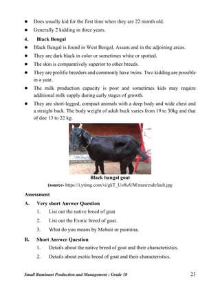 Small Ruminant Production and Management : Grade 10 23
 Does usually kid for the first time when they are 22 month old.
 Generally 2 kidding in three years.
4. Black Bengal
 Black Bengal is found in West Bengal, Assam and in the adjoining areas.
 They are dark black in color or sometimes white or spotted.
 The skin is comparatively superior to other breeds.
 They are prolific breeders and commonly have twins. Two kidding are possible
in a year.
 The milk production capacity is poor and sometimes kids may require
additional milk supply during early stages of growth.
 They are short-legged, compact animals with a deep body and wide chest and
a straight back. The body weight of adult buck varies from 19 to 30kg and that
of doe 13 to 22 kg.
Black bangal goat
(source- https://i.ytimg.com/vi/gkT_Usf6zUM/maxresdefault.jpg
Assessment
A. Very short Answer Question
1. List out the native breed of goat
2. List out the Exotic breed of goat.
3. What do you means by Mohair or pasmina.
B. Short Answer Question
1. Details about the native breed of goat and their characteristics.
2. Details about exotic breed of goat and their characteristics.
 