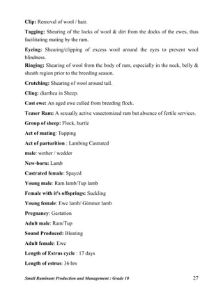 Small Ruminant Production and Management : Grade 10 27
Clip: Removal of wool / hair.
Tagging: Shearing of the locks of wool & dirt from the docks of the ewes, thus
facilitating mating by the ram.
Eyeing: Shearing/clipping of excess wool around the eyes to prevent wool
blindness.
Ringing: Shearing of wool from the body of ram, especially in the neck, belly &
sheath region prior to the breeding season.
Crutching: Shearing of wool around tail.
Cling: diarrhea in Sheep.
Cast ewe: An aged ewe culled from breeding flock.
Teaser Ram: A sexually active vasectomized ram but absence of fertile services.
Group of sheep: Flock, hurtle
Act of mating: Tupping
Act of parturition : Lambing Castrated
male: wether / wedder
New-born: Lamb
Castrated female: Spayed
Young male: Ram lamb/Tup lamb
Female with it's offsprings: Suckling
Young female: Ewe lamb/ Gimmer lamb
Pregnancy: Gestation
Adult male: Ram/Tup
Sound Produced: Bleating
Adult female: Ewe
Length of Estrus cycle : 17 days
Length of estrus: 36 hrs
 