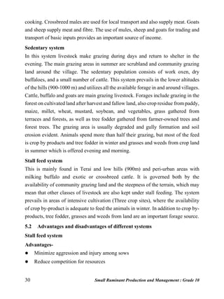30 Small Ruminant Production and Management : Grade 10
cooking. Crossbreed males are used for local transport and also supply meat. Goats
and sheep supply meat and fibre. The use of mules, sheep and goats for trading and
transport of basic inputs provides an important source of income.
Sedentary system
In this system livestock make grazing during days and return to shelter in the
evening. The main grazing areas in summer are scrubland and community grazing
land around the village. The sedentary population consists of work oxen, dry
buffaloes, and a small number of cattle. This system prevails in the lower altitudes
of the hills (900-1000 m) and utilizes all the available forage in and around villages.
Cattle, buffalo and goats are main grazing livestock. Forages include grazing in the
forest on cultivated land after harvest and fallow land, also crop residue from paddy,
maize, millet, wheat, mustard, soybean, and vegetables, grass gathered from
terraces and forests, as well as tree fodder gathered from farmer-owned trees and
forest trees. The grazing area is usually degraded and gully formation and soil
erosion evident. Animals spend more than half their grazing, but most of the feed
is crop by products and tree fodder in winter and grasses and weeds from crop land
in summer which is offered evening and morning.
Stall feed system
This is mainly found in Terai and low hills (900m) and peri-urban areas with
milking buffalo and exotic or crossbreed cattle. It is governed both by the
availability of community grazing land and the steepness of the terrain, which may
mean that other classes of livestock are also kept under stall feeding. The system
prevails in areas of intensive cultivation (Three crop sites), where the availability
of crop by-product is adequate to feed the animals in winter. In addition to crop by-
products, tree fodder, grasses and weeds from land are an important forage source.
5.2 Advantages and disadvantages of different systems
Stall feed system
Advantages-
 Minimize aggression and injury among sows
 Reduce competition for resources
 