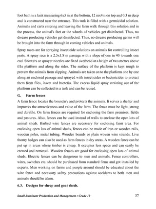Small Ruminant Production and Management : Grade 10 37
foot bath is a lank measuring 6x3 m at the bottom, 12 mx4m on top and 0.3 m deep
and is constructed near the entrance. This tank is filled with a germicidal solution.
Animals and carts entering and leaving the farm walk through this solution and in
the process, the animal's feet or the wheels of vehicles get disinfected. Thus, no
disease producing vehicles get disinfected. Thus, no disease producing germs will
be brought into the farm through in coming vehicles and animals.
Spray races are for spraying insecticide solutions on animals for controlling insect
pests. A spray race is a 2.5x1.8 m passage with a slope of one in 40 towards one
end. Showers or sprayer nozzles are fixed overhead at a height of two metres above
tI1e platform and along the sides. The surface of the platform is kept rough to
prevent the animals from slipping. Animals are taken on to the platform one by one
along an enclosed passage and sprayed with insecticides or bactericides to protect
them from flies, insect and bacteria. The excess liquid spray straining out of the
platform can be collected in a tank and can be reused.
G. Farm fences
A farm fence locates the boundary and protects the animals. It serves a shelter and
improves the attractiveness and value of the farm. The fence must be light, strong
and durable. On farm fences are required for enclosing the farm premises, fields
and pastures. Also, fences can be used instead of walls to enclose the open lots of
animal sheds. Barbed wire fences are necessary for enclosing farm area. For
enclosing open lots of animal sheds, fences can be made of iron or wooden rails,
wooden poles, metal tubing. Wooden boards or plain woven wire strands. Live
thorny hedges can also be used as farm fences in dry areas. A wooden fence can be
put up in areas where timber is cheap. It occupies less space and can easily be
created and removed. Wooden fences are good for enclosing open lots of animal
sheds. Electric fences can be dangerous to men and animals. Fence controllers,
wires, switches etc. should be purchased from standard firms and got installed by
experts. Men working on farms and people around should be educated about the
wire fence and necessary safety precautions against accidents to both men and
animals should be taken.
6.3. Designs for sheep and goat sheds.
 