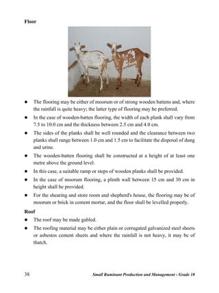 38 Small Ruminant Production and Management : Grade 10
Floor
 The flooring may be either of moorum or of strong wooden battens and, where
the rainfall is quite heavy; the latter type of flooring may be preferred.
 In the case of wooden-batten flooring, the width of each plank shall vary from
7.5 to 10.0 cm and the thickness between 2.5 cm and 4.0 cm.
 The sides of the planks shall be well rounded and the clearance between two
planks shall range between 1.0 cm and 1.5 cm to facilitate the disposal of dung
and urine.
 The wooden-batten flooring shall be constructed at a height of at least one
metre above the ground level.
 In this case, a suitable ramp or steps of wooden planks shall be provided.
 In the case of moorum flooring, a plinth wall between 15 cm and 30 cm in
height shall be provided.
 For the shearing and store room and shepherd's house, the flooring may be of
moorum or brick in cement mortar, and the floor shall be levelled properly.
Roof
 The roof may be made gabled.
 The roofing material may be either plain or corrugated galvanized steel sheets
or asbestos cement sheets and where the rainfall is not heavy, it may be of
thatch.
 