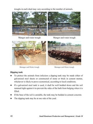 40 Small Ruminant Production and Management : Grade 10
troughs in each shed may vary according to the number of animals.
Manger and water trough Manger and water trough
Manager and Water trough Manager and Water trough
Dipping tank
 To protect the animals from infection a dipping tank may be made either of
galvanized steel sheets or constructed of stone or brick in cement mortar,
whichever is likely to prove economical, according to local conditions.
 If a galvanized steel tank is used, it shall be well bedded down and the soil
rammed tight against it to prevent the sides of the bath from bulging when it is
filled.
 If the base of the soil is unstable, the tank may be bedded in cement concrete.
 The dipping tank may be at one side of the yard.
 