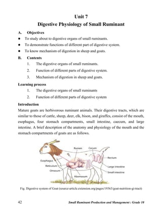 42 Small Ruminant Production and Management : Grade 10
Unit 7
Digestive Physiology of Small Ruminant
A. Objectives
 To study about to digestive organs of small ruminants.
 To demonstrate functions of different part of digestive system.
 To know mechanism of digestion in sheep and goats.
B. Contents
1. The digestive organs of small ruminants.
2. Function of different parts of digestive system.
3. Mechanism of digestion in sheep and goats.
Learning process
1. The digestive organs of small ruminants
2. Function of different parts of digestive system
Introduction
Mature goats are herbivorous ruminant animals. Their digestive tracts, which are
similar to those of cattle, sheep, deer, elk, bison, and giraffes, consist of the mouth,
esophagus, four stomach compartments, small intestine, caecum, and large
intestine. A brief description of the anatomy and physiology of the mouth and the
stomach compartments of goats are as follows.
Fig. Digestive system of Goat (source-article.extension.org/pages/19363/goat-nutrition-gi-tract)
 
