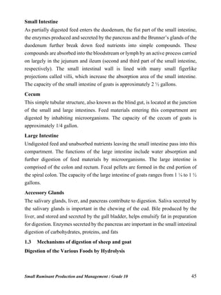 Small Ruminant Production and Management : Grade 10 45
Small Intestine
As partially digested feed enters the duodenum, the fist part of the small intestine,
the enzymes produced and secreted by the pancreas and the Brunner’s glands of the
duodenum further break down feed nutrients into simple compounds. These
compounds are absorbed into the bloodstream or lymph by an active process carried
on largely in the jejunum and ileum (second and third part of the small intestine,
respectively). The small intestinal wall is lined with many small figerlike
projections called villi, which increase the absorption area of the small intestine.
The capacity of the small intestine of goats is approximately 2 ½ gallons.
Cecum
This simple tubular structure, also known as the blind gut, is located at the junction
of the small and large intestines. Feed materials entering this compartment are
digested by inhabiting microorganisms. The capacity of the cecum of goats is
approximately 1/4 gallon.
Large Intestine
Undigested feed and unabsorbed nutrients leaving the small intestine pass into this
compartment. The functions of the large intestine include water absorption and
further digestion of feed materials by microorganisms. The large intestine is
comprised of the colon and rectum. Fecal pellets are formed in the end portion of
the spiral colon. The capacity of the large intestine of goats ranges from 1 ¼ to 1 ½
gallons.
Accessory Glands
The salivary glands, liver, and pancreas contribute to digestion. Saliva secreted by
the salivary glands is important in the chewing of the cud. Bile produced by the
liver, and stored and secreted by the gall bladder, helps emulsify fat in preparation
for digestion. Enzymes secreted by the pancreas are important in the small intestinal
digestion of carbohydrates, proteins, and fats
1.3 Mechanisms of digestion of sheep and goat
Digestion of the Various Foods by Hydrolysis
 