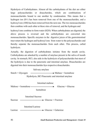 46 Small Ruminant Production and Management : Grade 10
Hydrolysis of Carbohydrates. Almost all the carbohydrates of the diet are either
large polysaccharides or disaccharides, which are combinations of
monosaccharides bound to one another by condensation. This means that a
hydrogen ion (H+) has been removed from one of the monosaccharides, and a
hydroxyl ion (-OH) has been removed from the next one. The two monosaccharides
then combine with each other at these sites of removal, and the hydrogen and
hydroxyl ions combine to form water (H2O). When carbohydrates are digested, the
above process is reversed and the carbohydrates are converted into
monosaccharides. Specific enzymes in the digestive juices of the gastrointestinal
tract return the hydrogen and hydroxyl ions from water to the polysaccharides and
thereby separate the monosaccharides from each other. This process, called
hydrolysis.
Actually, the digestion of carbohydrates initiates from the mouth cavity.
Carbohydrates are attacked by a number of amylase present in the saliva of mouth
cavity. In stomach, HCL also aids in the hydrolysis of polysaccharides but most of
the hydrolysis is due to the pancreatic and intestinal amylase. Disaccharides are
digested into their monosaccharides byu respective disaccharides.
Salivary amylase
Starch + Glycogen Maltase + Isomaltose
Hydrolysis, HCl Pancreatic and intestinal amylase
Intestinal maltose
Maltose + Isomaltose Glucose + Glucose
Isomaltose
Intestinal Sucrose
Sucrose Glucose + Fructose
Intestinal Lactose
Lactose Glucose + Galactose
 