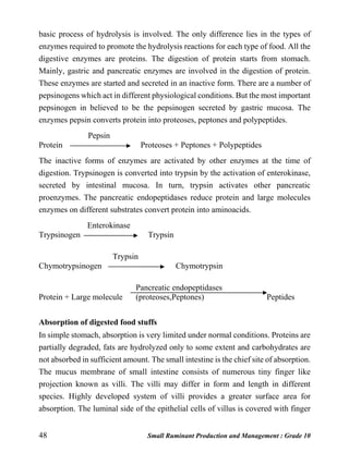 48 Small Ruminant Production and Management : Grade 10
basic process of hydrolysis is involved. The only difference lies in the types of
enzymes required to promote the hydrolysis reactions for each type of food. All the
digestive enzymes are proteins. The digestion of protein starts from stomach.
Mainly, gastric and pancreatic enzymes are involved in the digestion of protein.
These enzymes are started and secreted in an inactive form. There are a number of
pepsinogens which act in different physiological conditions. But the most important
pepsinogen in believed to be the pepsinogen secreted by gastric mucosa. The
enzymes pepsin converts protein into proteoses, peptones and polypeptides.
Pepsin
Protein Proteoses + Peptones + Polypeptides
The inactive forms of enzymes are activated by other enzymes at the time of
digestion. Trypsinogen is converted into trypsin by the activation of enterokinase,
secreted by intestinal mucosa. In turn, trypsin activates other pancreatic
proenzymes. The pancreatic endopeptidases reduce protein and large molecules
enzymes on different substrates convert protein into aminoacids.
Enterokinase
Trypsinogen Trypsin
Trypsin
Chymotrypsinogen Chymotrypsin
Pancreatic endopeptidases
Protein + Large molecule (proteoses,Peptones) Peptides
Absorption of digested food stuffs
In simple stomach, absorption is very limited under normal conditions. Proteins are
partially degraded, fats are hydrolyzed only to some extent and carbohydrates are
not absorbed in sufficient amount. The small intestine is the chief site of absorption.
The mucus membrane of small intestine consists of numerous tiny finger like
projection known as villi. The villi may differ in form and length in different
species. Highly developed system of villi provides a greater surface area for
absorption. The luminal side of the epithelial cells of villus is covered with finger
 