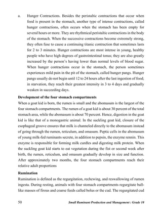 50 Small Ruminant Production and Management : Grade 10
a. Hunger Contractions. Besides the peristaltic contractions that occur when
food is present in the stomach, another type of intense contractions, called
hunger contractions, often occurs when the stomach has been empty for
several hours or more. They are rhythmical peristaltic contractions in the body
of the stomach. When the successive contractions become extremely strong,
they often fuse to cause a continuing titanic contraction that sometimes lasts
for 2 to 3 minutes. Hunger contractions are most intense in young, healthy
people who have high degrees of gastrointestinal tonus; they are also greatly
increased by the person’s having lower than normal levels of blood sugar.
When hunger contractions occur in the stomach, the person sometimes
experiences mild pain in the pit of the stomach, called hunger pangs. Hunger
pangs usually do not begin until 12 to 24 hours after the last ingestion of food;
in starvation, they reach their greatest intensity in 3 to 4 days and gradually
weaken in succeeding days.
Development of the four stomach compartments
When a goat kid is born, the rumen is small and the abomasum is the largest of the
four stomach compartments. The rumen of a goat kid is about 30 percent of the total
stomach area, while the abomasum is about 70 percent. Hence, digestion in the goat
kid is like that of a monogastric animal. In the suckling goat kid, closure of the
esophageal groove ensures that milk is channeled directly to the abomasum instead
of going through the rumen, reticulum, and omasum. Peptic cells in the abomasum
of young milk-fed ruminants secrete, in addition to pepsin, the enzyme rennin. This
enzyme is responsible for forming milk curdles and digesting milk protein. When
the suckling goat kid starts to eat vegetation during the fist or second week after
birth, the rumen, reticulum, and omasum gradually develop in size and function.
After approximately two months, the four stomach compartments reach their
relative adult proportions
Rumination
Rumination is defined as the regurgitation, rechewing, and reswallowing of rumen
ingesta. During resting, animals with four stomach compartments regurgitate ball-
like masses of firous and coarse feeds called bolus or the cud. The regurgitated cud
 