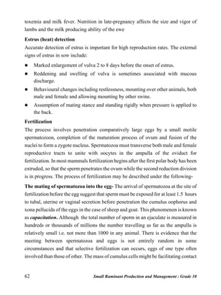 62 Small Ruminant Production and Management : Grade 10
toxemia and milk fever. Nutrition in late-pregnancy affects the size and vigor of
lambs and the milk producing ability of the ewe
Estrus (heat) detection
Accurate detection of estrus is important for high reproduction rates. The external
signs of estrus in sow include:
 Marked enlargement of vulva 2 to 8 days before the onset of estrus.
 Reddening and swelling of vulva is sometimes associated with mucous
discharge.
 Behavioural changes including restlessness, mounting over other animals, both
male and female and allowing mounting by other swine.
 Assumption of mating stance and standing rigidly when pressure is applied to
the back.
Fertilization
The process involves penetration comparatively large eggs by a small motile
spermatozoon, completion of the maturation process of ovum and fusion of the
nuclei to form a zygote nucleus. Spermatozoa must transverse both male and female
reproductive tracts to unite with oocytes in the ampulla of the oviduct for
fertilization. In most mammals fertilization begins after the first polar body has been
extruded, so that the sperm penetrates the ovum while the second reduction division
is in progress. The process of fertilization may be described under the following-
The mating of spermatozoa into the egg- The arrival of spermatozoa at the site of
fertilization before the egg suggest that sperm must be exposed for at least 1.5 hours
to tubal, uterine or vaginal secretion before penetration the cumulus oophorus and
xona pellucida of the eggs in the case of sheep and goat. This phenomenon is known
as capacitation. Although the total number of sperm in an ejaculate is measured in
hundreds or thousands of millions the number travelling as far as the ampulla is
relatively small i.e. not more than 1000 in any animal. There is evidence that the
meeting between spermatozoa and eggs is not entirely random in some
circumstances and that selective fertilization can occurs, eggs of one type often
involved than those of other. The mass of cumulus cells might be facilitating contact
 