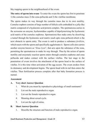 Small Ruminant Production and Management : Grade 10 63
bby trapping sperm in the neighbourhood of the ovum.
The entry of sperm into ovum- To enter the ovum the sperm has first to penetrate
1) the cumulus mass 2) the zona pellucida and 3) the vitelline membrane.
The sperm makes its way through the cumulus mass due to its own motility.
Cumulus oophors consists of large number of follicle cells embedded in a jelly-like
matrix composed of a hyaluronic acid protein complex. The spermatozoa carries in
the acrosome an enzyme, hyaluronidase capable of depolymerising the hyaluronic
acid matrix of the cumulus oophorus. Spermatozoa thus make entry by dissolving
a tunnel through the hyaluronic acid matrix reach upto zona pellucid-which is the
next obstacle to sperm entry. The ovum is said to produce a substance fertilizin,
which reacts with the sperm and specifically agglutinates it. Sperm cells also carries
another enzyme known as “Zona lysin”, that acts upon the substance of the zona,
permitting the spermatozoa to make its way through. Thus by the action of sperm
motility and enzymatic reaction sperm enters through cumulus oophorus and zona
pellucida and makes contact with the surface vitellus. The last stage in the
penetration of ovum involves the attachment of the sperm head to the surface of
vitellus. It is this time when activation of the egg occurs. The ovum awakes from
its dormancy and development begins. The sperm head with its tail then enters the
vitellus. Then fertilization process complete after that baby formation process is
started.
Assessment
A. Very short Answer Question
1. What do you mean by reproductive physiology of small ruminants?
2. List out the male reproductive organ.
3. List out the female reproductive organ.
4. Meaning about sexual cycle.
5. List out the sigh of estrus.
B. Short Answer Question
1. Describe the structure and function of male reproductive organ.
 