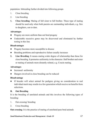 Small Ruminant Production and Management : Grade 10 67
population. Inbreeding further divided into following groups
1. Close breeding
2. Line breeding
1. Close breeding: Mating of full sister to full brother. These type of mating
should be used only when both parents are outstanding individuals, e.g. Sire
to daughters, son to dam.
Advantages
 Progeny are more uniform than out bred progeny
 Undesirable recessive genes may be discovered and eliminated by further
testing in this line
Disadvantages
 Progeny becomes more susceptible to disease
 Breeding problems and reproductive failure usually increases
2. Line Breeding: It means mating wider degree of relationship than those for
close breeding. It promotes uniformity in the character. Half brother and sister
or mating of animals more distantly related, e.g. Cousin mating.
Advantages
 Increased uniformity
 Dangers involved in close breeding can be reduced
Disadvantage
 If breeder will select animal for pedigree giving no consideration to real
individual merit may results in a few generation which receive no benefits from
selections.
B. Out Breeding
It is the breeding of unrelated animals and this involves the following types of
breeding:
1. Out crossing/ breeding
2. Cross breeding
Out crossing: It is the practice of mating of unrelated pure bred animals
 