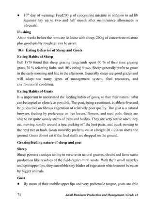 74 Small Ruminant Production and Management : Grade 10
 10th
day of weaning: Feed200 g of concentrate mixture in addition to ad lib
legumes hay up to two and half month after maintenance allowances is
adequate.
Flushing
About weeks before the rams are let loose with sheep, 200 g of concentrate mixture
plus good quality roughage can be given.
10.4 Eating Behavior of Sheep and Goats
Eating Habits of Sheep
Bell 1978 found that sheep grazing rangelands spent 60 % of their time grazing
grass, 30 % selecting forbs, and 10% eating brows. Sheep generally prefer to graze
in the early morning and late in the afternoon. Generally sheep are good grazer and
will adapt too many types of management system, feed resources, and
environmental condition.
Eating Habits of Goats
It is important to understand the feeding habits of goats, so that their natural habit
can be copied as closely as possible. The goat, being a ruminant, is able to live and
be productive on fibrous vegetation of relatively poor quality. The goat is a natural
browser, feeding by preference on tree leaves, flowers, and seed pods. Goats are
able to eat quite woody stems of trees and bushes. They are very active when they
eat, moving rapidly around a tree, picking off the best parts, and quick moving to
the next tree or bush. Goats naturally prefer to eat at a height 20 -120 cm above the
ground. Goats do not eat if the feed stuffs are dropped on the ground.
Grazing/feeding nature of sheep and goat
Sheep
Sheep possess a unique ability to survive on natural grasses, shrubs and farm waste
production like residues of the fields/agricultural waste. With their small muzzles
and split upper lips, they can nibble tiny blades of vegetation which cannot be eaten
by bigger animals.
Goat
 By mean of their mobile upper lips and very prehensile tongue, goats are able
 