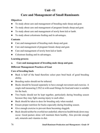 76 Small Ruminant Production and Management : Grade 10
Unit -11
Care and Management of Small Ruminants
Objectives
 To study about care and management of breeding male sheep and goat.
 To study about care and management of pregnant female sheep and goat.
 To study about care and management of newly born kid or lamb.
 To study about colostrums feeding and its advantages.
Contents
 Care and management of breeding male sheep and goat.
 Care and management of pregnant female sheep and goat.
 Care and management of newly born kid or lamb.
 Colostrum feeding and its advantages.
Learning process
a. Care and management of breeding male sheep and goat.
Different Management Practices of Goat
Care of breeding buck
 Buck is half of the band therefore select pure bred buck of good breeding
ability.
 Breeding males should not be tethered.
 Bucks should be housed separately to have enough movement and exercise. A
single stall measuring 2.5X2 m with usual fittings for food and water is suitable
for the buck.
 Two bucks should not be kept together, particularly during breeding season
because they may fight causing injury to each other.
 Buck should be taken to does for breeding only when needed.
 Ensure proper nutrition for bucks especially during breeding season.
 Give enough exercise to prevent them becoming sluggish.
 Buck should neither be overfed nor underfed; otherwise health break down may
occur. Good pasture alone will maintain them healthy. Also provide enough
salt, minerals and vitamins in diet.
 
