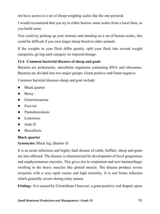 Small Ruminant Production and Management : Grade 10 91
not have access to a set of sheep weighing scales like the one pictured.
I would recommend that you try to either borrow some scales from a local farm, or
you build some.
You could try picking up your animals and standing on a set of human scales, this
could be difficult if you own larger sheep breed or older animals.
If the weights in your flock differ greatly, split your flock into several weight
categories, giving each category its required dosage.
12.4 Common bacterial diseases of sheep and goats
Bacteria are prokaryotic, unicellular organisms containing DNA and ribosomes.
Bacteria are divided into two major groups: Gram positive and Gram negative
Common bacterial diseases sheep and goat include:
 Black quarter
 Braxy
 Enterotoxaemia
 Foot rot
 Paratuberculosis
 Listeriosis
 Joint ill
 Brucellosis
Black quarter
Synonyms: Black leg, Quarter ill
It is an acute infectious and highly fatal disease of cattle, buffalo, sheep and goats
are also affected. The disease is characterized by development of focal gangrenous
and emphysematous myositis. This gives rise to crepitation and sero haemorrhagic
swelling in the heavy muscles like gluteal muscle. The disease produce severe
toxaemia with a very rapid course and high mortality. It is soil borne infection
which generally occurs during rainy season.
Etiology- It is caused by Clostridium Chauvoei, a gram positive, rod shaped, spore
 