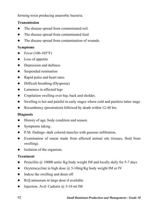 92 Small Ruminant Production and Management : Grade 10
forming toxin producing anaerobic bacteria.
Transmission
 The disease spread from contaminated soil.
 The disease spread from contaminated feed
 The disease spread from contamination of wounds.
Symptoms
 Fever (106-105°F)
 Loss of appetite
 Depression and dullness
 Suspended rumination
 Rapid pulse and heart rates
 Difficult breathing (Dysponia)
 Lameness in affected legs
 Crepitation swelling over hip, back and sholder.
 Swelling is hot and painful in early stages where cold and painless latter stage
 Recumbency (prostration) followed by death within 12-48 hrs.
Diagnosis
 History of age, body condition and season.
 Symptoms taking .
 P.M. findings- dark colored muscles with gaseous infiltration.
 Examination of smear made from affected animal site (tissues, fluid from
swelling).
 Isolation of the organism.
Treatment
 Penicillin @ 10000 units/ Kg body weight IM and locally daily for 5-7 days
 Ocyteracycline in high dose @ 5-10mg/Kg body weight IM or IV
 Indcse the swelling and drain off
 B.Q antiserum in large dose if available
 Injection. Avil/ Cadistin @ 5-10 ml IM
 