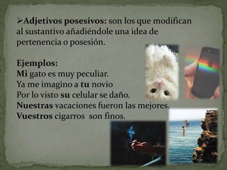 Adjetivos posesivos: son los que modifican
al sustantivo añadiéndole una idea de
pertenencia o posesión.
Ejemplos:
Mi gato es muy peculiar.
Ya me imagino a tu novio
Por lo visto su celular se daño.
Nuestras vacaciones fueron las mejores.
Vuestros cigarros son finos.
 