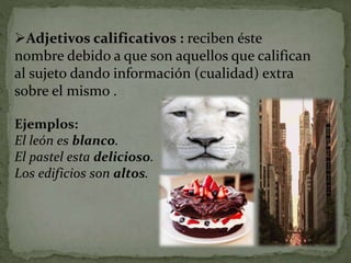 Adjetivos calificativos : reciben éste
nombre debido a que son aquellos que califican
al sujeto dando información (cualidad) extra
sobre el mismo .
Ejemplos:
El león es blanco.
El pastel esta delicioso.
Los edificios son altos.
 