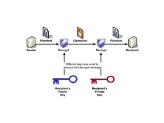 Rsa Overview