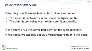 Raptor Rsa RSA APJ Velociraptor Lab | PDF