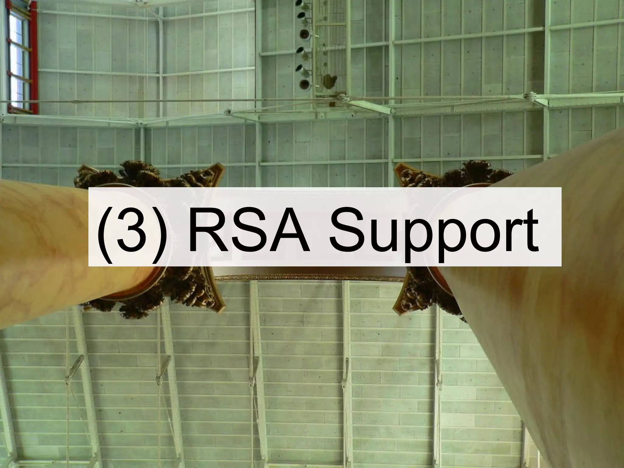 (3) RSA Support