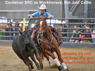 #RSAC
12
(Skipping the pets -
you know why you
shouldn’t make pets)
Container SRC as Workhorses, Not Just Cattle
 