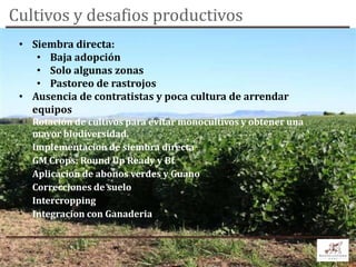 Cultivos y desafios productivos
 • Siembra directa:
    • Baja adopción
    • Solo algunas zonas
    • Pastoreo de rastrojos
 • Ausencia de contratistas y poca cultura de arrendar
   equipos
 • Rotación de cultivos para evitar monocultivos y obtener una
   mayor biodiversidad.
 • Implementacion de siembra directa
 • GM Crops: Round Up Ready y Bt
 • Aplicacion de abonos verdes y Guano
 • Correcciones de suelo
 • Intercropping
 • Integracion con Ganaderia


                                   17
 