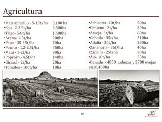 Agricultura
•Maiz amarillo - 5-15t/ha   3,100 ha        •Achicoria- 40t/ha        50ha
•Soja- 2-3.5t/ha            2,800ha         •Centeno - 3t/ha          30ha
•Trigo- 5-8t/ha             1,600ha         •Arveja- 3t/ha            60ha
•Avena- 1-3t/ha             200ha           •Cebolla - 35t/ha         210ha
•Papa - 35-45t/ha           70ha            •Alfalfa - 20t/ha         290ha
•Poroto - 1.2-2.5t/ha       350ha           •Zanahoria - 35t/ha       40ha
•Mani - 1-2t/ha             90ha            •Zapallo - 25t/ha         30ha
•Popcorn - 4.5t/ha          140ha           •Ajo- 10t/ha              25ha
•Girasol - 2t/ha            20ha            •Ganado - 4850 cabezas y 2700 ovejas
•Tomates - 100t/ha          10ha            en16,400ha




                                       19
 