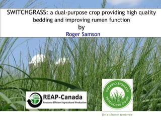 SWITCHGRASS: a dual-purpose crop providing high quality
bedding and improving rumen function
by
Roger Samson
 