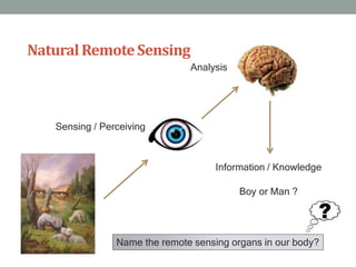 NaturalRemoteSensing
Sensing / Perceiving
Analysis
Information / Knowledge
Boy or Man ?
Name the remote sensing organs in our body?
 