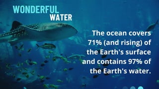 Biology Ocean Virtual Field Trip PowerPoint | PPT