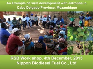 An Example of rural development with Jatropha in
Cabo Delgado Province, Mozambique

RSB Work shop, 4th December, 2013
Nippon Biodiesel Fuel Co., Ltd

1

 