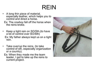 REIN
• A long thin piece of material,
  especially leather, which helps you to
  control and direct a horse.
 Ex: The cowboy fell off the horse when
  the reins broke.

• Keep a tight rein on SO/Sth.(to have
  a lot of control over SO/Sth)
 Ex: My father always kept us on a tight
  rein.

• Take over/up the reins. (to take
  control of sth, especially organization
  or a country).
 Ex: When they made me the team
  leader, I got to take up the reins to
  current project.
 