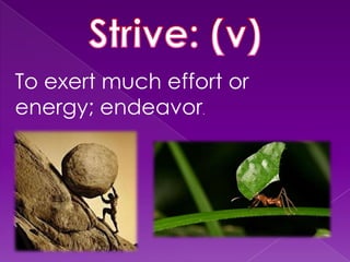 To exert much effort or
energy; endeavor.
 