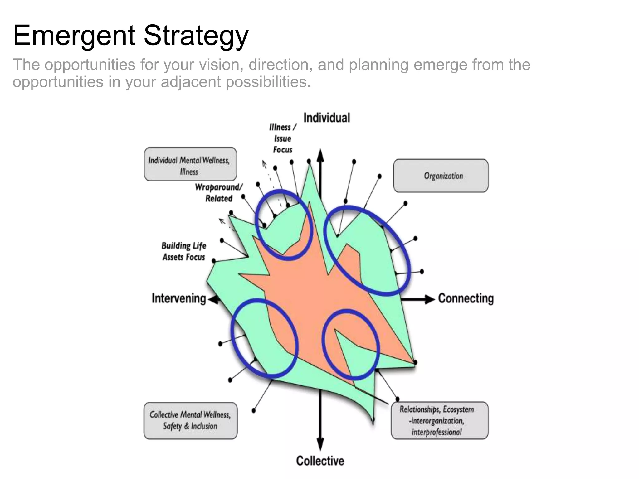 Emergent Strategy
The opportunities for your vision, direction, and planning emerge from the
opportunities in your adjacent possibilities.
 