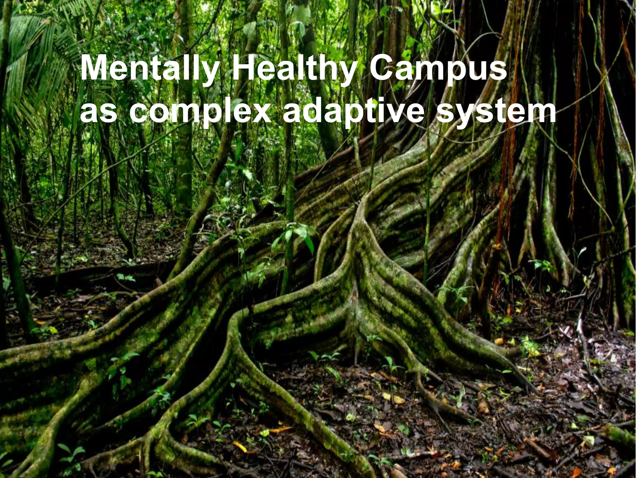 5
Mentally Healthy Campus
as complex adaptive system
 