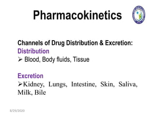 Pharmacokinetics | PPTX