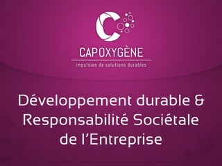 RSE et marque sociétale : avantages et conditions de réussite