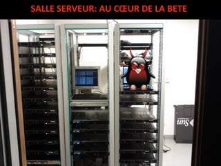 SALLE SERVEUR: AU CŒUR DE LA BETE 
 