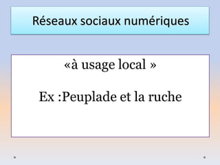 Réseaux sociaux numériques
«à usage local »
Ex :Peuplade et la ruche
 