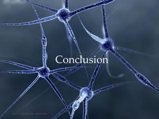 3601/12/2015
Conclusion
Esprit-réseaux de neurones
 