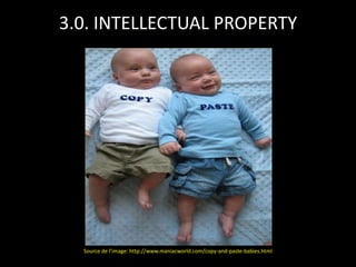 3.0. INTELLECTUAL PROPERTY




  Source de l’image: http://www.maniacworld.com/copy-and-paste-babies.html
 