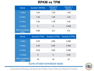 RSEM and DE packages | PDF