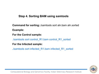 Computational Biology and Genomics Facility, Indian Veterinary Research Institute
Command for sorting:./samtools sort aln.bam aln.sorted
Example:
For the Control sample:
./samtools sort control_R1.bam control_R1_sorted
For the Infected sample:
./samtools sort infected_R1.bam infected_R1_sorted
Step 4. Sorting BAM using samtools
 