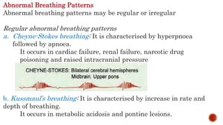 Abnormal Breathing Patterns
Abnormal breathing patterns may be regular or irregular
Regular abnormal breathing patterns
a. Cheyne-Stokes breathing: It is characterised by hyperpnoea
followed by apnoea.
It occurs in cardiac failure, renal failure, narcotic drug
poisoning and raised intracranial pressure
b. Kussmaul’s breathing: It is characterised by increase in rate and
depth of breathing.
It occurs in metabolic acidosis and pontine lesions.
 