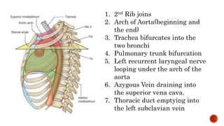 1. 2nd Rib joins
2. Arch of Aorta(beginning and
the end)
3. Trachea bifurcates into the
two bronchi
4. Pulmonary trunk bifurcation
5. Left recurrent laryngeal nerve
looping under the arch of the
aorta
6. Azygous Vein draining into
the superior vena cava.
7. Thoracic duct emptying into
the left subclavian vein
 