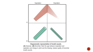 Clinical Examination of RS