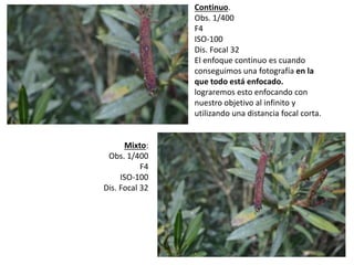 Continuo. 
Obs. 1/400 
F4 
ISO-100 
Dis. Focal 32 
El enfoque continuo es cuando 
conseguimos una fotografía en la 
que todo está enfocado. 
lograremos esto enfocando con 
nuestro objetivo al infinito y 
utilizando una distancia focal corta. 
Mixto: 
Obs. 1/400 
F4 
ISO-100 
Dis. Focal 32 
 