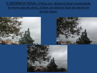 5.DISTANCIA FOCAL: 3 fotos con distancia focal manteniendo
el mismo tipo de plano, 3 fotos con distinta focal de retrato en
primer plano.
 