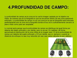 4.PROFUNDIDAD DE CAMPO: 
La profundidad de campo es la zona en la cual la imagen captada por el objetivo es 
nítida, de manera que en la fotografía lo que se encuentre dentro de esa zona aparecerá 
enfocado. La profundidad de campo no es una zona en la que la fotografía está enfocada 
perfectamente sino la zona de la fotografía donde el foco es lo suficientemente cercano al 
plano nítido como para ser aceptable. 
Lo normal sería pensar que la profundidad de campo se distribuye de igual forma por 
delante del objeto enfocado y por detrás, pero no es así. En realidad, de forma 
aproximada la distribución de la zona nítida de la imagen será 1/3 de la profundidad de 
campo por delante del sujeto enfocado y 2/3 por detrás, eso sí, siempre y cuando la 
distancia de enfoque no sea muy reducida (en ese caso estos cálculos no son válidos) 
 