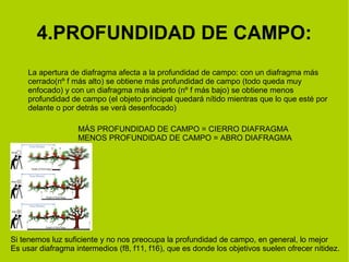 4.PROFUNDIDAD DE CAMPO: 
La apertura de diafragma afecta a la profundidad de campo: con un diafragma más 
cerrado(nº f más alto) se obtiene más profundidad de campo (todo queda muy 
enfocado) y con un diafragma más abierto (nº f más bajo) se obtiene menos 
profundidad de campo (el objeto principal quedará nítido mientras que lo que esté por 
delante o por detrás se verá desenfocado) 
MÁS PROFUNDIDAD DE CAMPO = CIERRO DIAFRAGMA 
MENOS PROFUNDIDAD DE CAMPO = ABRO DIAFRAGMA 
Si tenemos luz suficiente y no nos preocupa la profundidad de campo, en general, lo mejor 
Es usar diafragma intermedios (f8, f11, f16), que es donde los objetivos suelen ofrecer nitidez. 
 